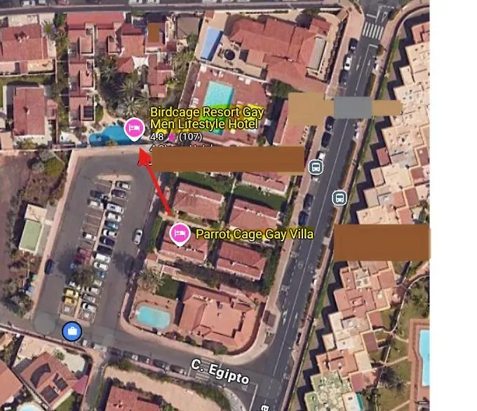 Birdcage Gay Men Resort And Lifestyle Hotel (Adults Only) Playa del Inglés