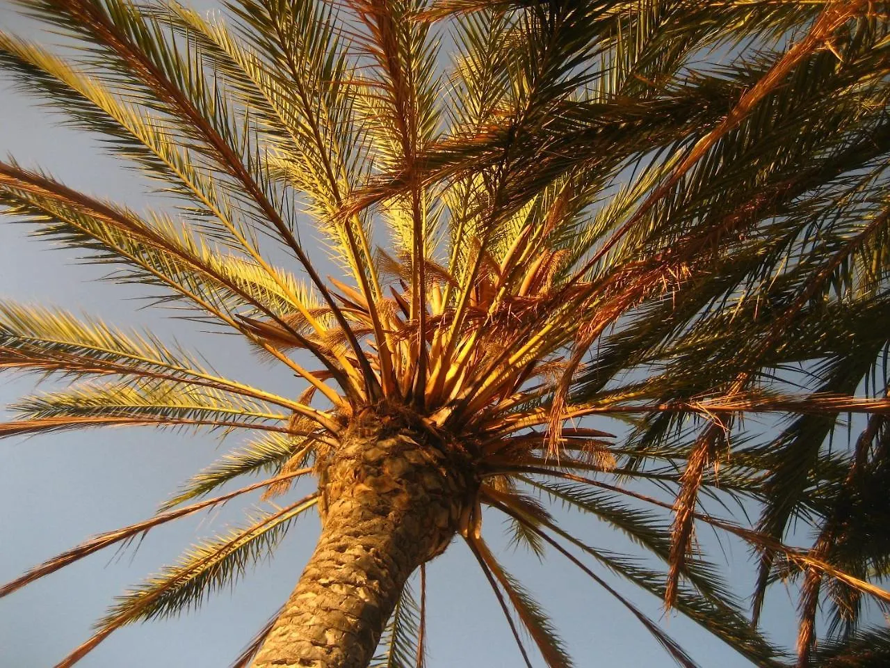Birdcage Gay Men Resort And Lifestyle Hotel (Adults Only) Playa del Inglés