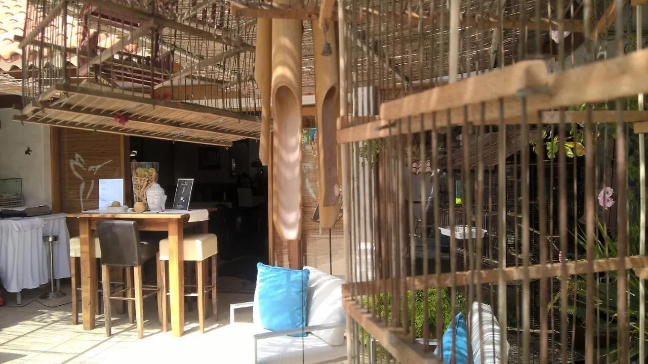 Birdcage Gay Men Resort And Lifestyle Hotel (Adults Only) Playa del Ingles