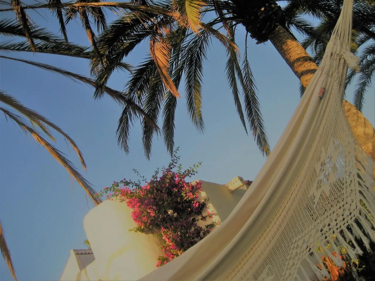 Birdcage Gay Men Resort And Lifestyle Hotel (Adults Only) Playa del Inglés