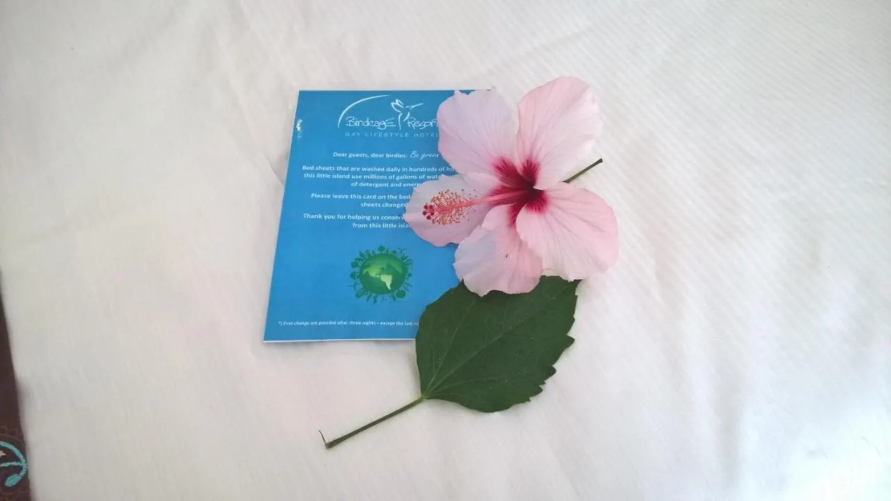 Birdcage Gay Men Resort And Lifestyle Hotel (Adults Only) Playa del Ingles  4*, Playa del Ingles (Gran Canaria) Spain