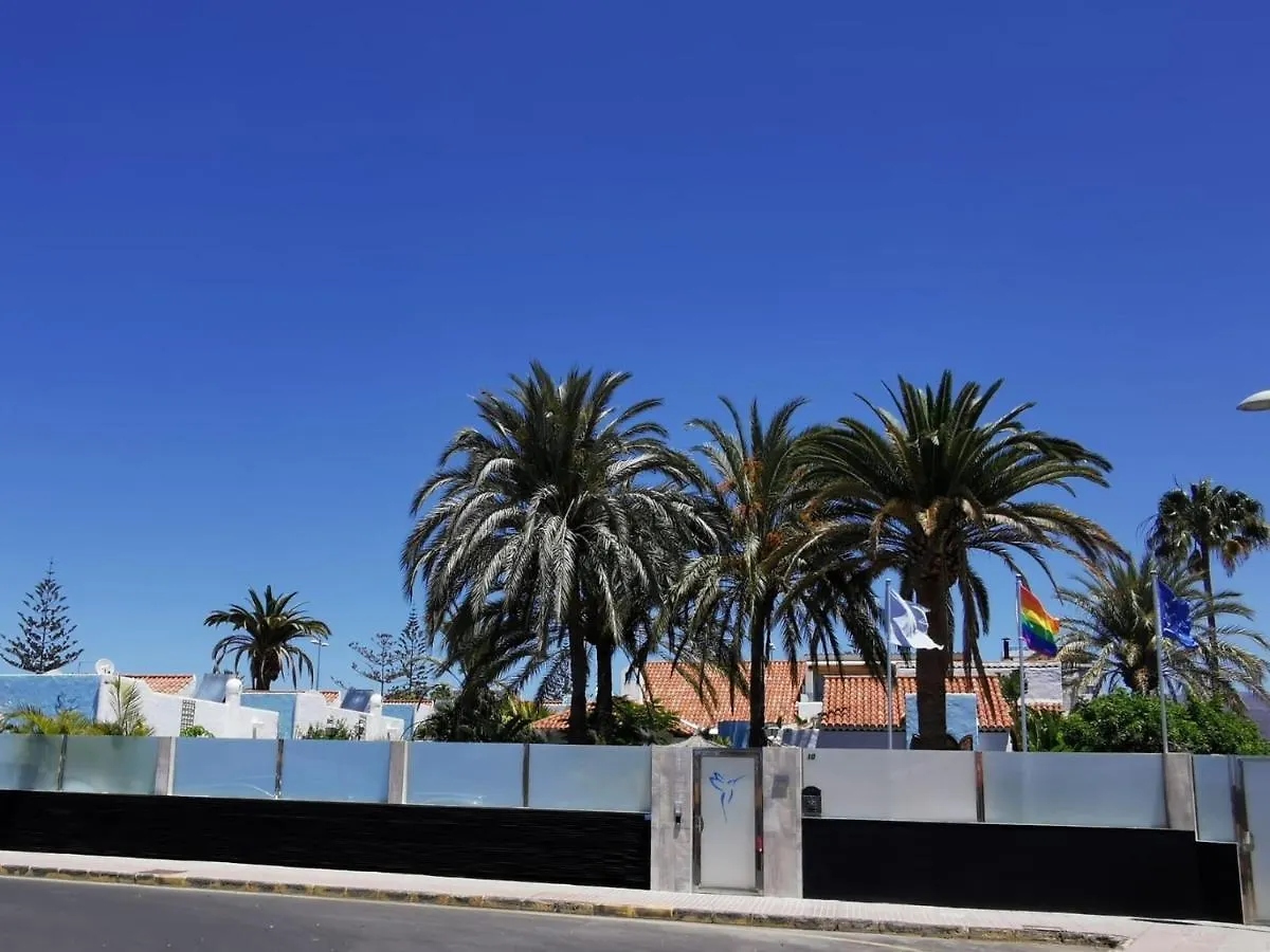 ****  Birdcage Gay Men Resort And Lifestyle Hotel (Adults Only) Playa del Ingles  Spain