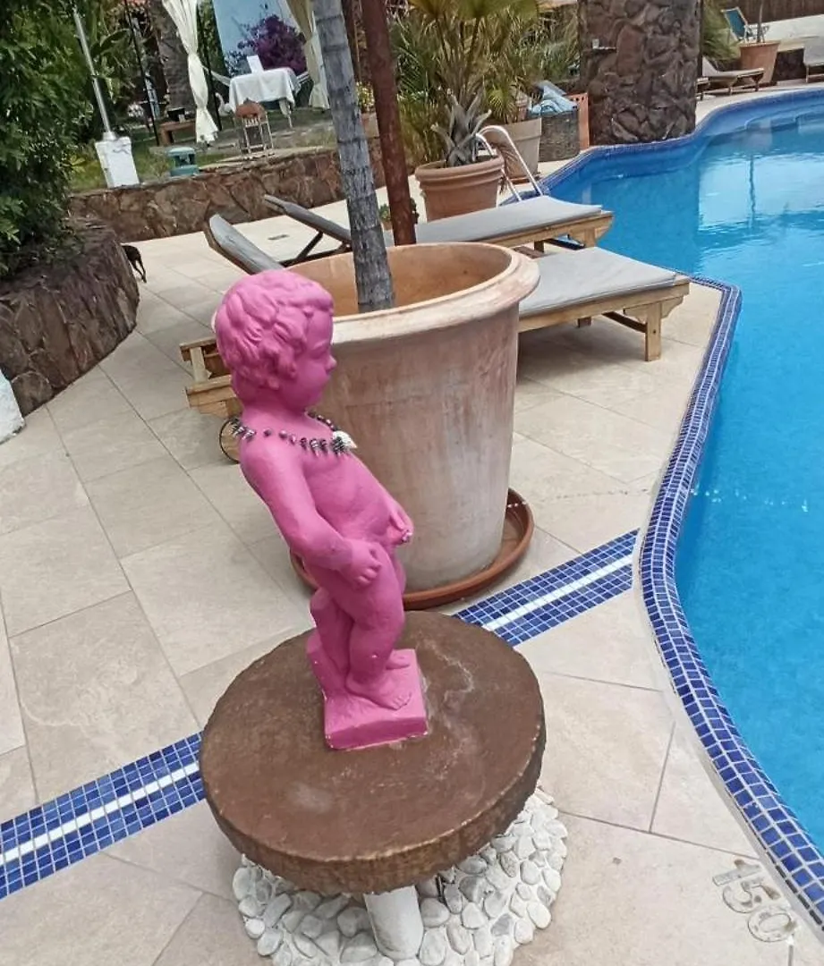 Birdcage Gay Men Resort And Lifestyle Hotel (Adults Only) Playa del Ingles