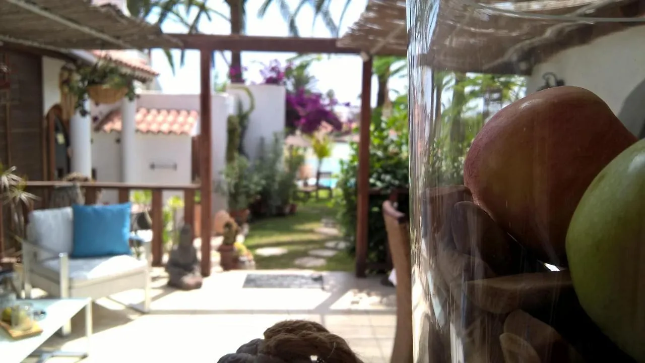 Birdcage Gay Men Resort And Lifestyle Hotel (Adults Only) Playa del Ingles   Playa del Ingles (Gran Canaria)