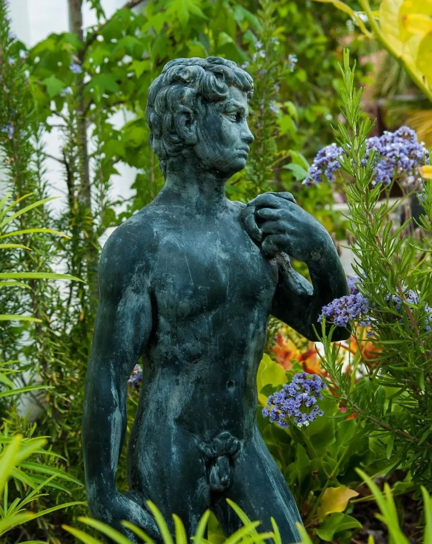 Birdcage Gay Men Resort And Lifestyle Hotel (Adults Only) Playa del Ingles